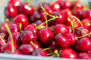 Harvested red ripe cherries in the sun