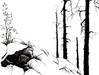 Rocky mountains. A young tree of mountain ash. The grass breaks out from under the rocks.Black silhouettes of age-old tree trunks of larch. Hand-drawn linear illustration on paper. Sketch in ink.