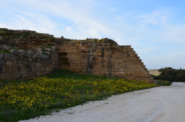 Selinunte archaeological site, Sicily