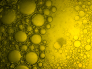 the chemical reaction of the paint with water