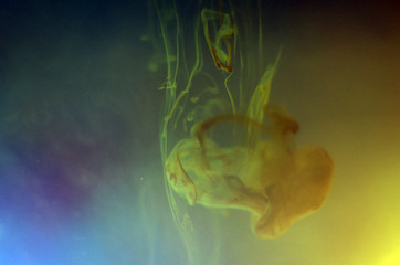 the chemical reaction of the paint with water