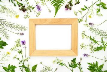 Herbal botanical background with wooden frame