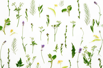 Herbal botanical background