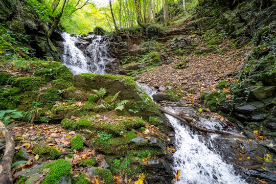 Kleiner Wildbach im Wald mit Wasserfall
