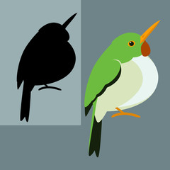 cuban tody bird vector illustration flat style black silhouette