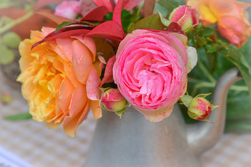 Pink and yellow roses in a metal teapot on a table