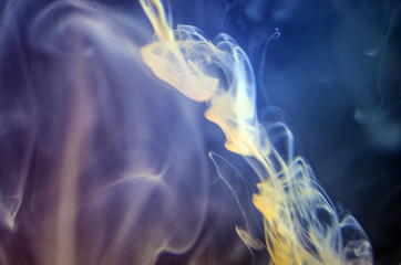 the chemical reaction of the paint with water