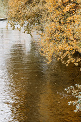 Autumn landscape with river and trees