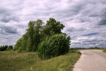 Fototapeta premium Rural landscape. Forest, road.