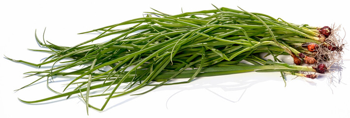 group of green onions harvest isolated on white background