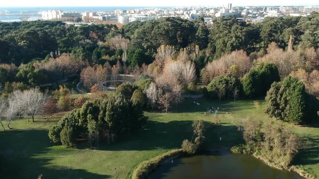 Diagonal flight up at the city park