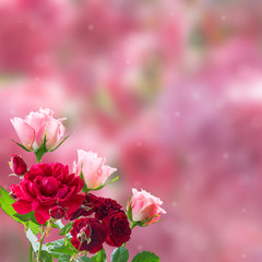 Floral background with rose