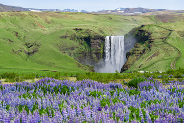 Landscape with Skogafoss waterfall, Iceland