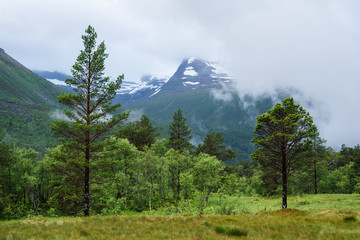Fototapeta premium Summer landscape in Innerdalen Valley, Norway