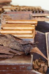 Cigars. The cigar factory in Granada, Nicaragua.