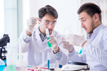 Team of chemists working in the lab