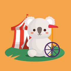 carnival circus design with cute koala and monocycle icon over orange background, colorful design. vector illustration