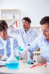 Fototapeta premium Team of chemists working in the lab
