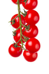 Pomidory na białym tle