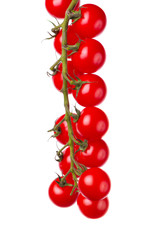 Pomidory na białym tle