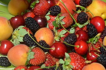Berries overhead closeup colorful assorted mix of strawberry, blueberry, raspberry, blackberry, red currant in studio on dark background