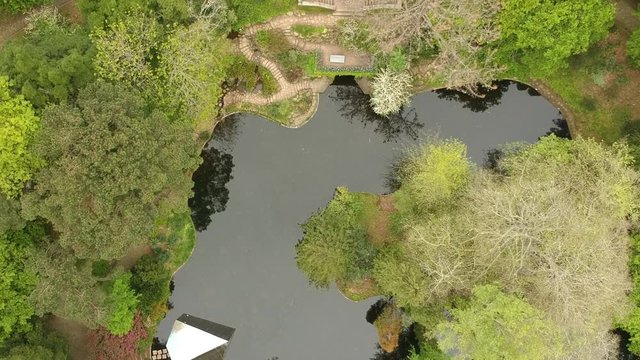 Birdseye View of Lake at Serralves