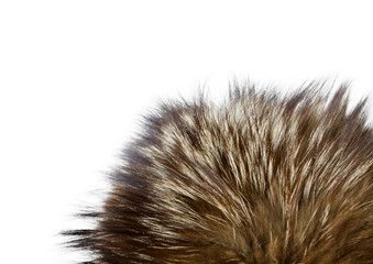 Fur texture. Silver fox fur.