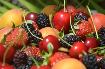 Berries overhead closeup colorful assorted mix of strawberry, blueberry, raspberry, blackberry, red currant in studio on dark background