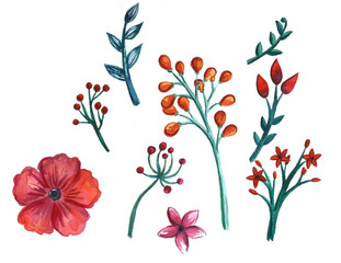 Hand drawn watercolor spring and summer flowers graphic elements and design