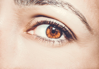 A beautiful insightful look eye. Close up shot.