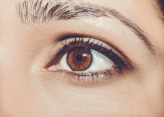 Fototapeta premium A beautiful insightful look eye. Close up shot.