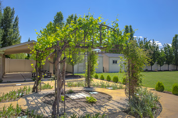 Fototapeta na wymiar Backyard gazebo with vines growing up