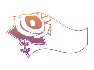 Anzac day design with Australian flag and poppy flower over white background, vector illustration