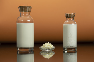 Making homemade milk kefir, fresh milk, kefir grains in a glass plate on peach orange background with reflection on the surface