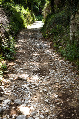 Very rocky road in the middle of forest. There are tons of small stones, rocks, sands on the ground. Tourist will have an adventurous walk passing this small pathway to somewhere.