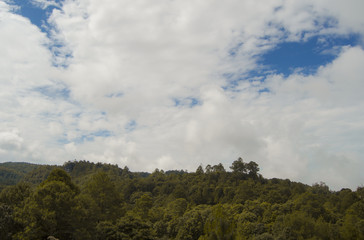 Obraz na płótnie Canvas Mountain forest and sky with clouds