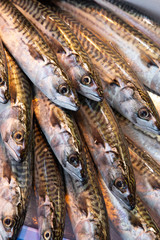 Obraz premium Fresh fish for sale at a market in Deauville, Normandy