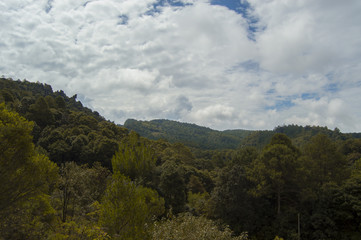 Mountain forest and sky with clouds