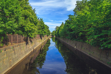 Fototapeta premium park in the suburbs of St. Petersburg in the summer