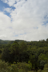 Mountain forest and sky with clouds