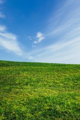 green grass and blue sky nature background