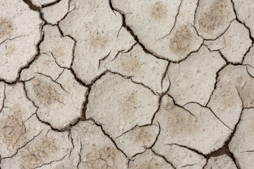 Dried cracked mud conceptual of a drought