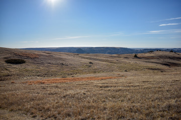 Fields of grasslands with scenic canyon ranges all around them with wintered vegetation, valleys, and pathways for ambitious hikers, backpackers, and wildlife.