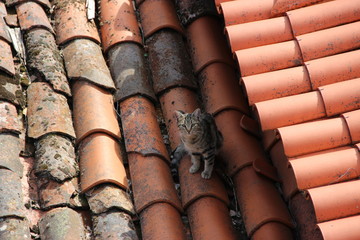 Portugal - Bragança