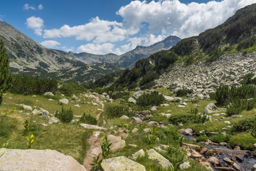 Fototapeta na wymiar Amazing Landscape Banderishki Chukar Peak, Pirin Mountain, Bulgaria