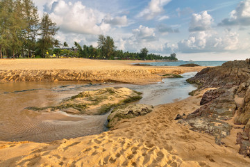 Tropical beach in sunny day