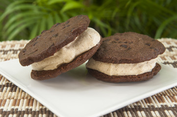 Cinnamon Ice Cream Sandwich with Chocolate Cookies