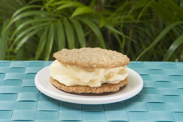 Oatmeal Cookie and Vanilla Ice Cream Sandwich Outside