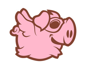 Flying pig character