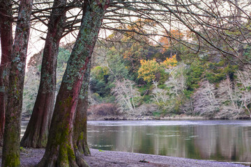 Cool day on the river